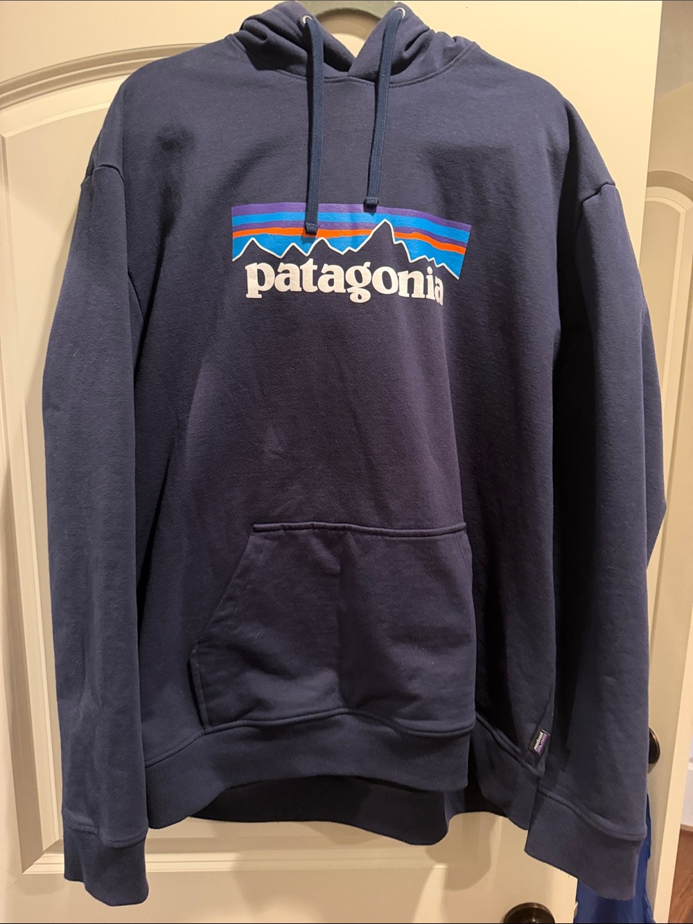 Patagonia Navy Pullover with Multicolor Mountain Logo